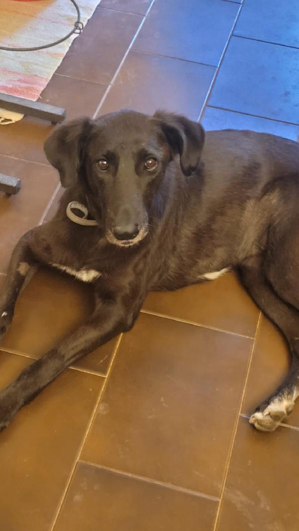 BLACKY Foto 4